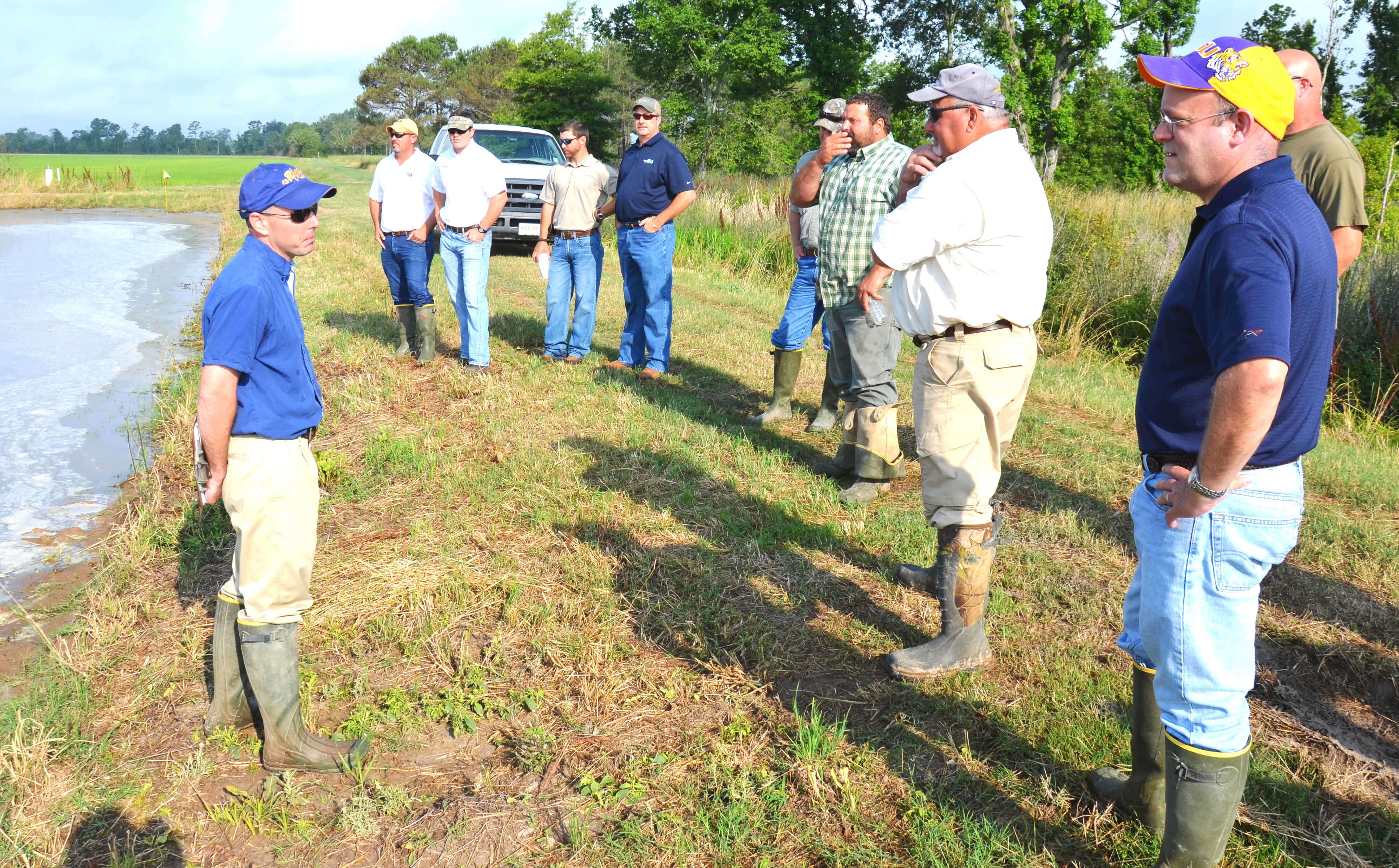 Farmers hear status of current rice crop