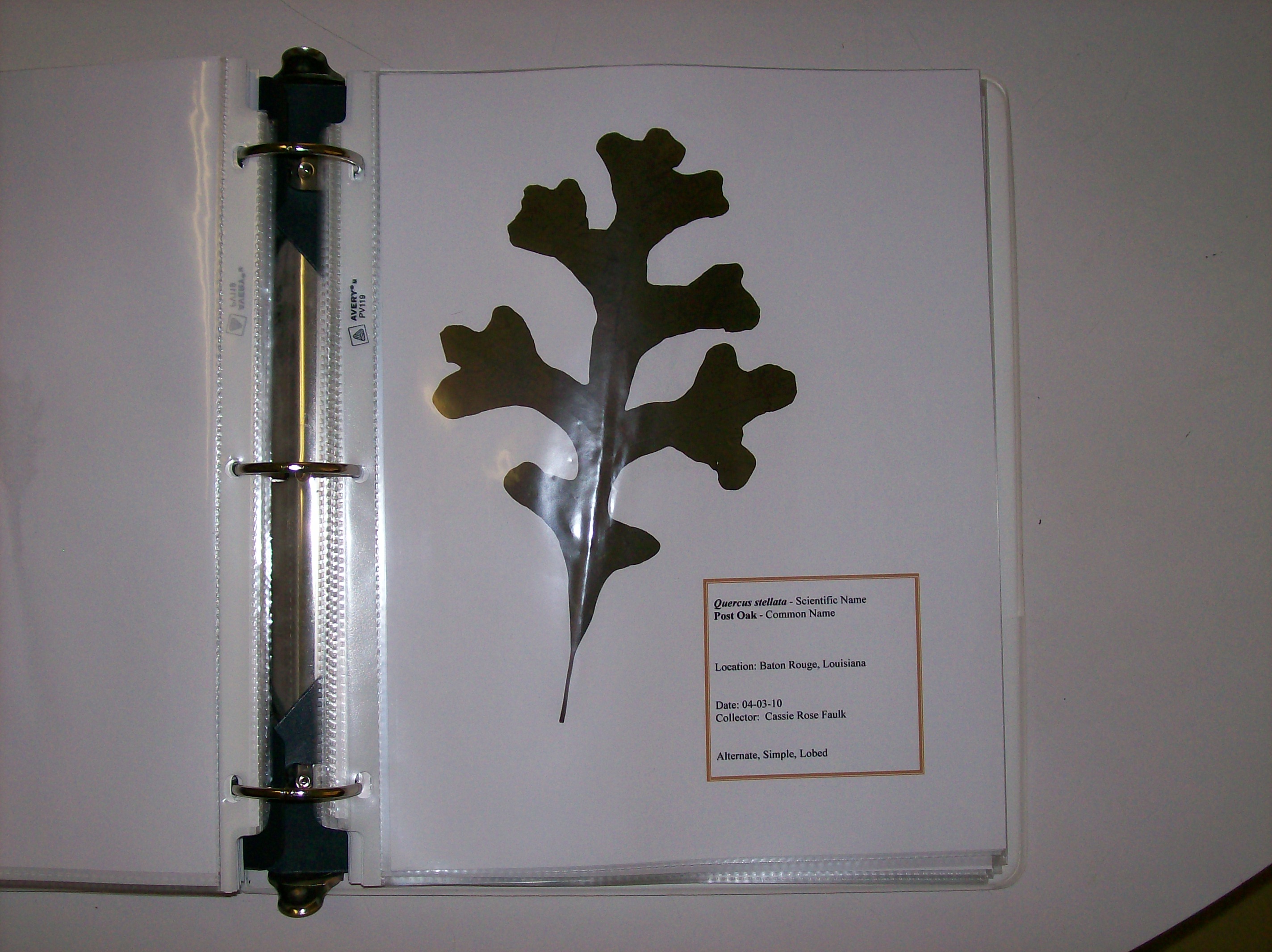 Leaf collection page