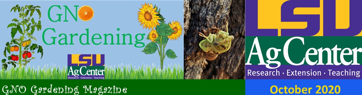 GNO Gardening - October 2020