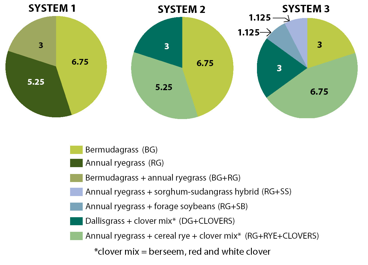 Beef Cattle Performance on Three Forage Systems