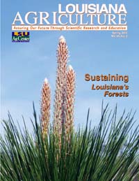 Louisiana Agriculture Magazine Spring 2006