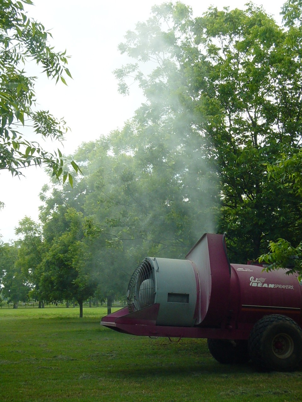 Fungicide Application Recommendations for Pecan Disease Control