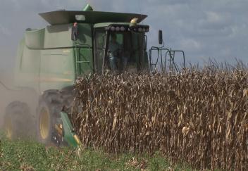 Value of La. agriculture sets record in 2012