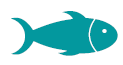 Capture10PNG