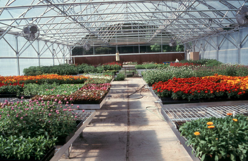 _HF_greenhousejpg