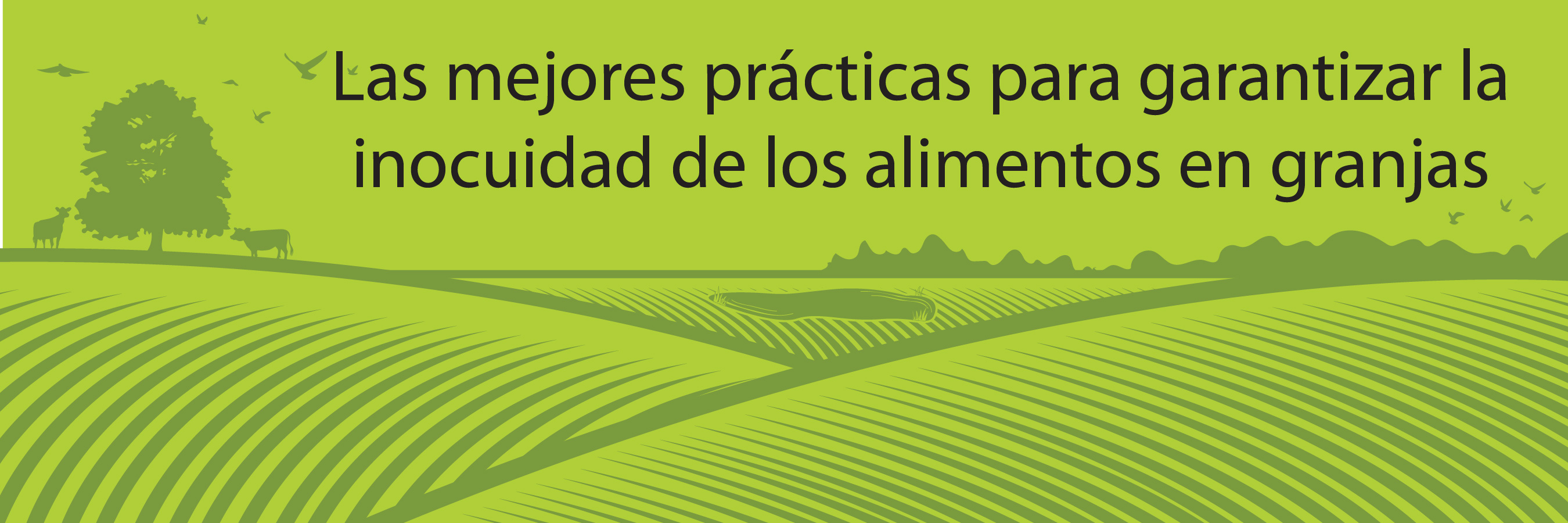 OnFarmFoodSafetyIllustration_CMSHeaderspanish-01jpg.jpg thumbnail