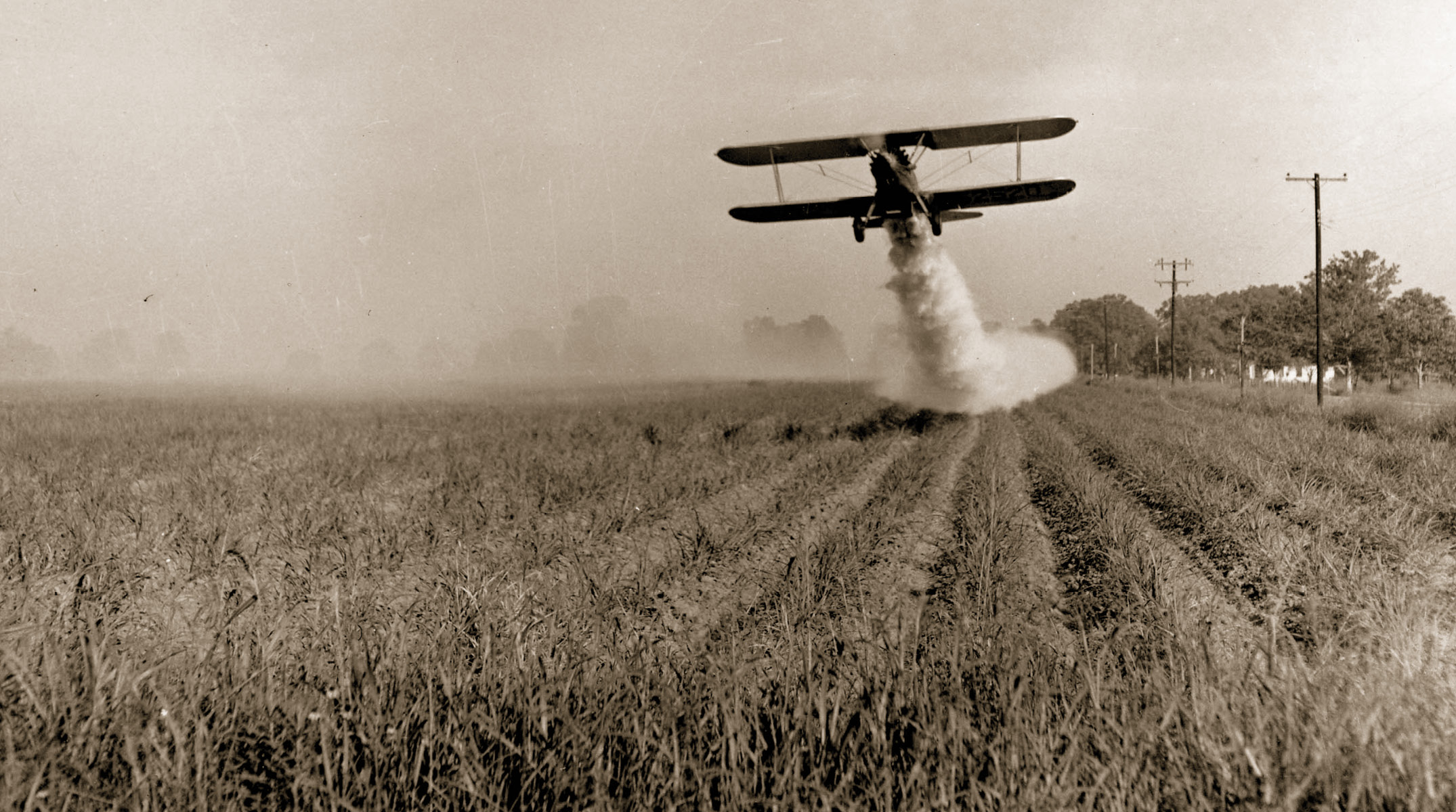 Integrated pest management springs forth after 1960