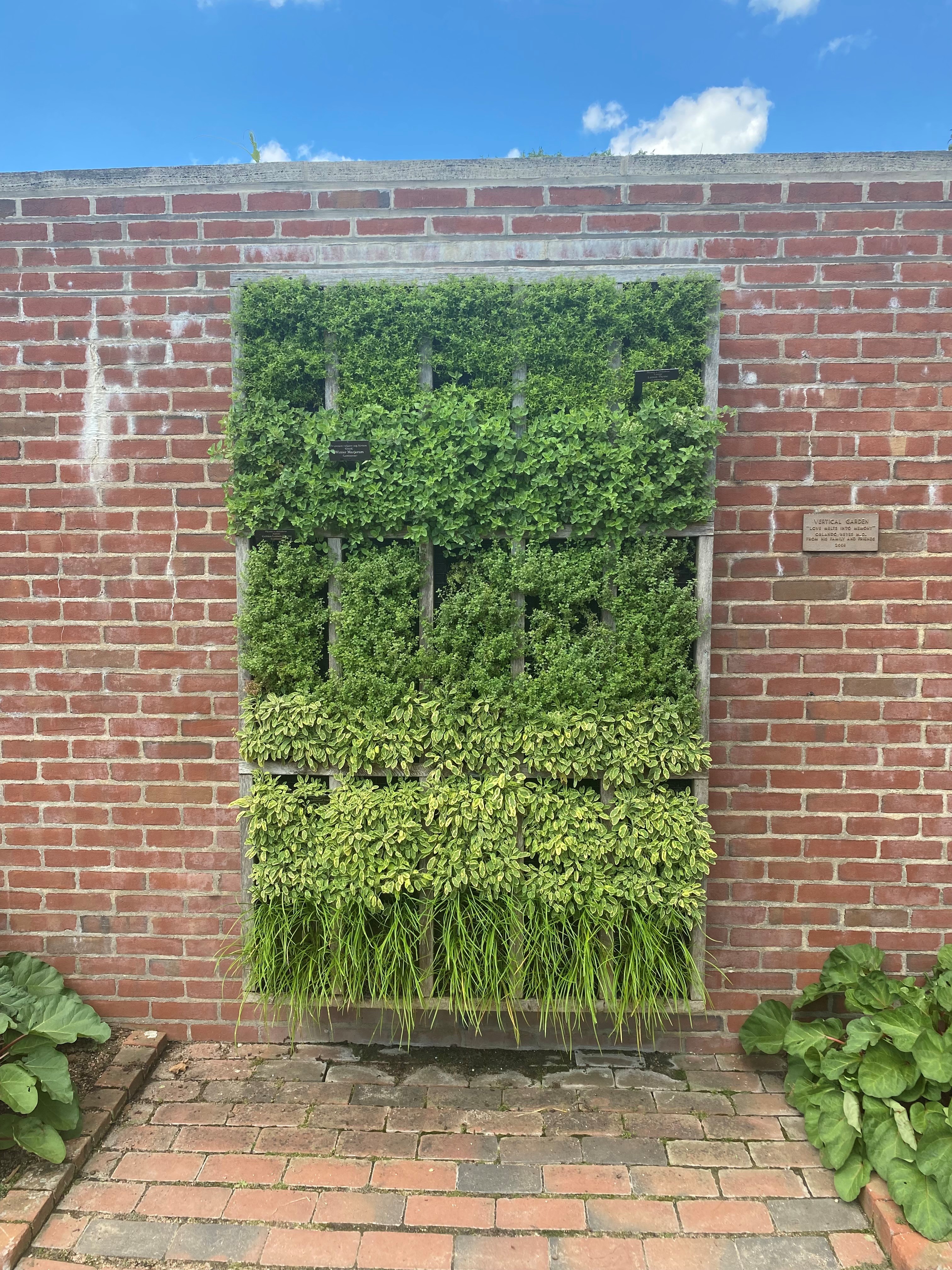 Smaller spaces call for micro gardens