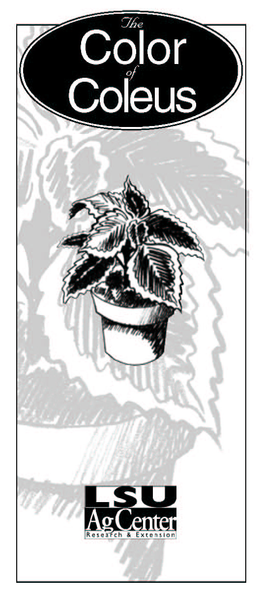 The Color of Coleus