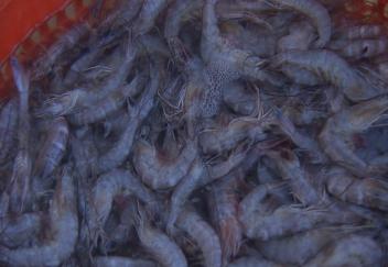 Fishers meeting set for March 19 in Abbeville 