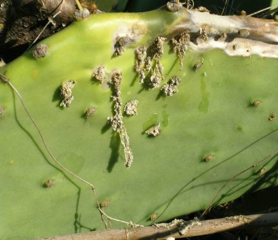 feeding signs on pad
