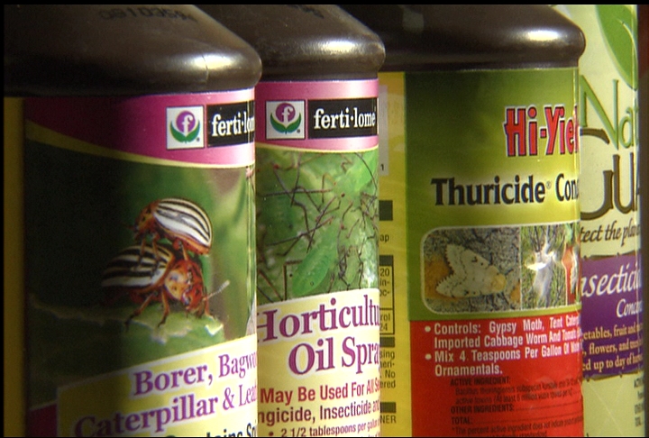 Use appropriate insecticides on vegetable fruit plants