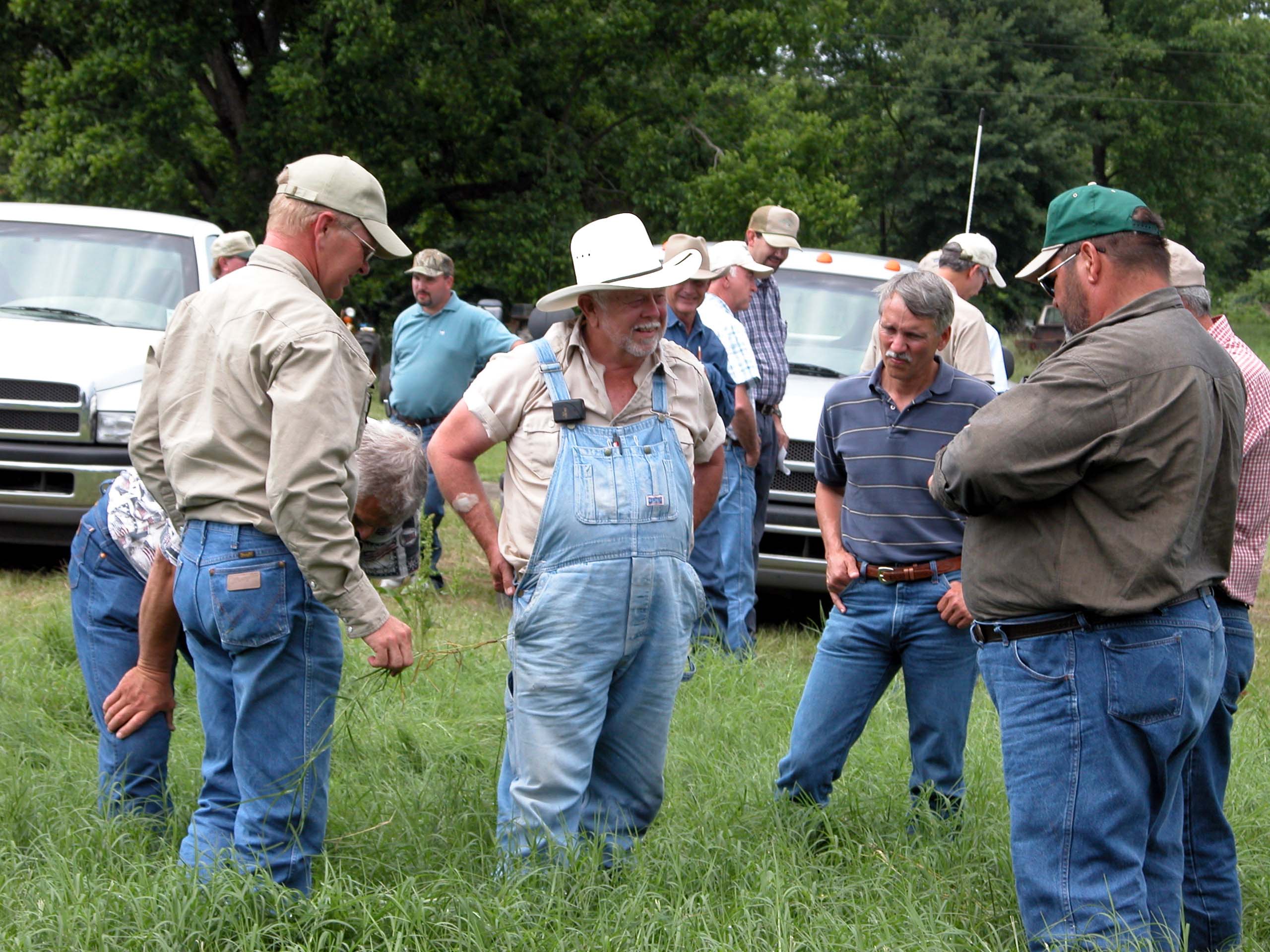 Forage Tour Provides Glimpse at Production Techniques