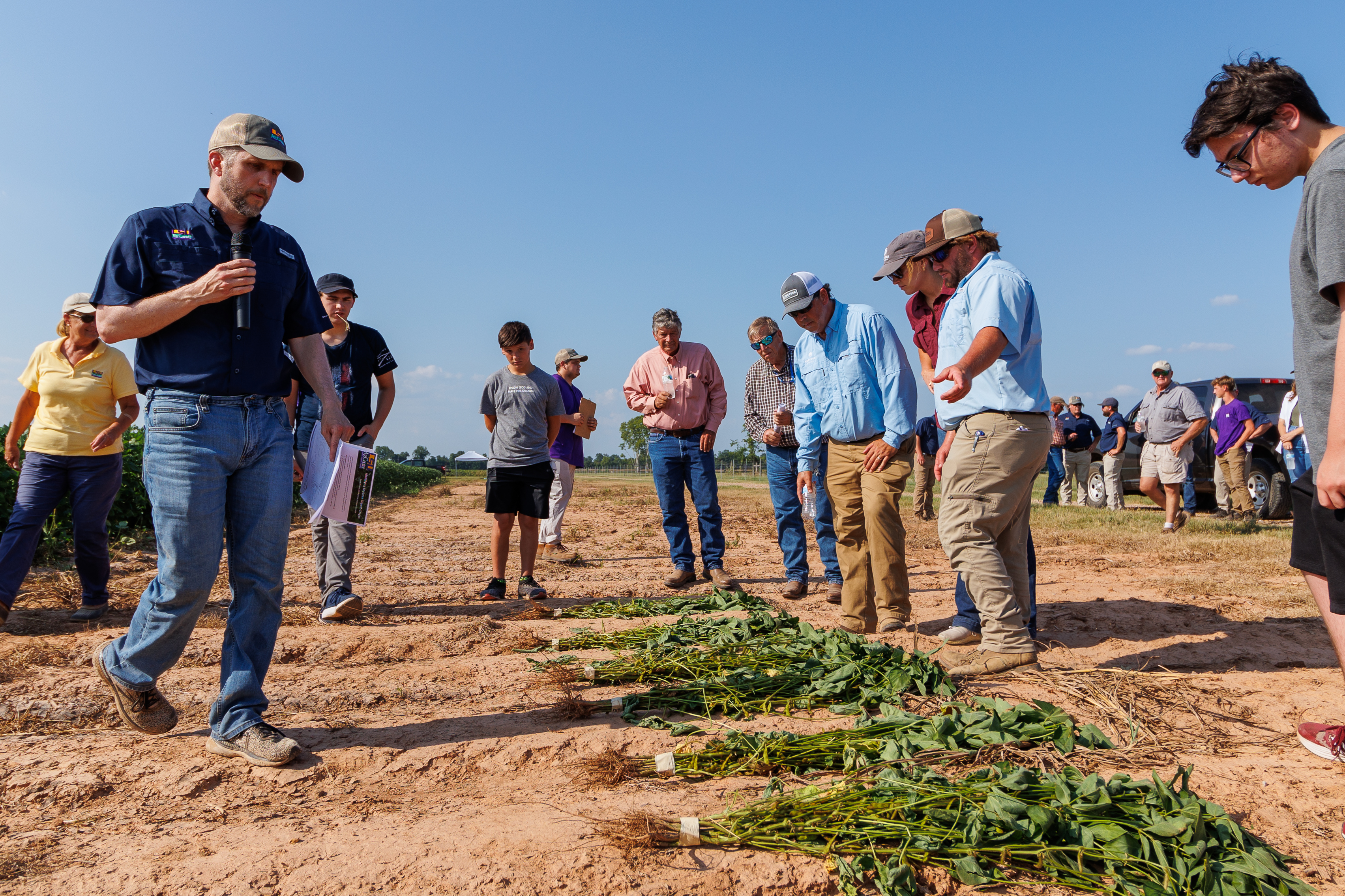 Agronomic crops school gives producers a chance to interact with AgCenter researchers 