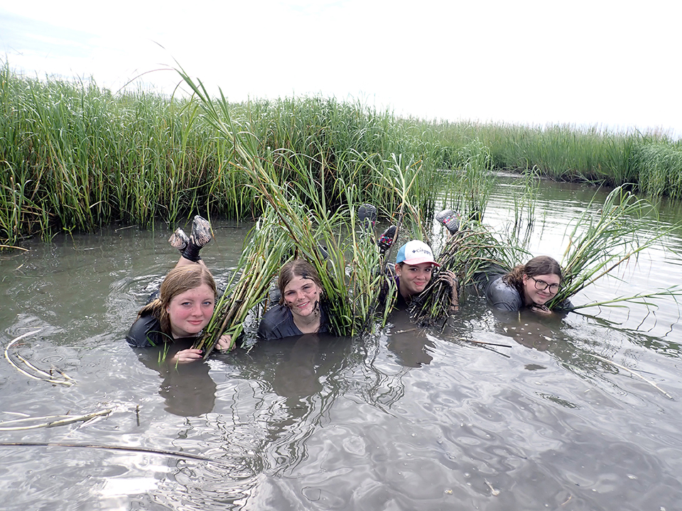 Wetlands Snapshot