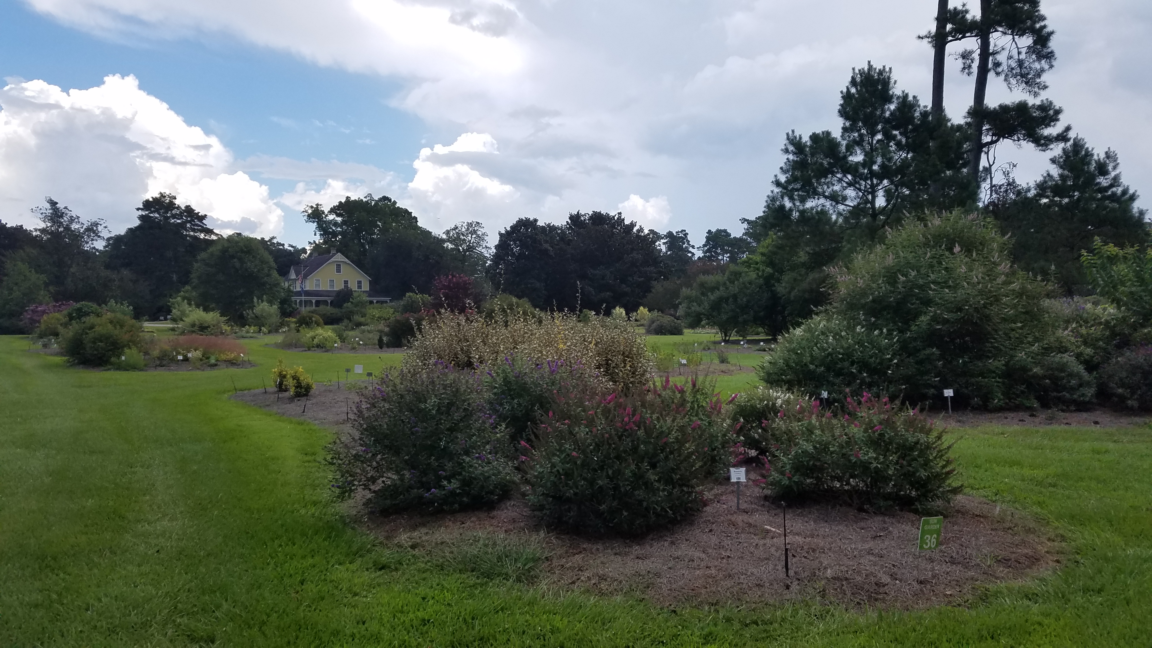 Make Landscape Bed Weed Management Easier for Yourself
