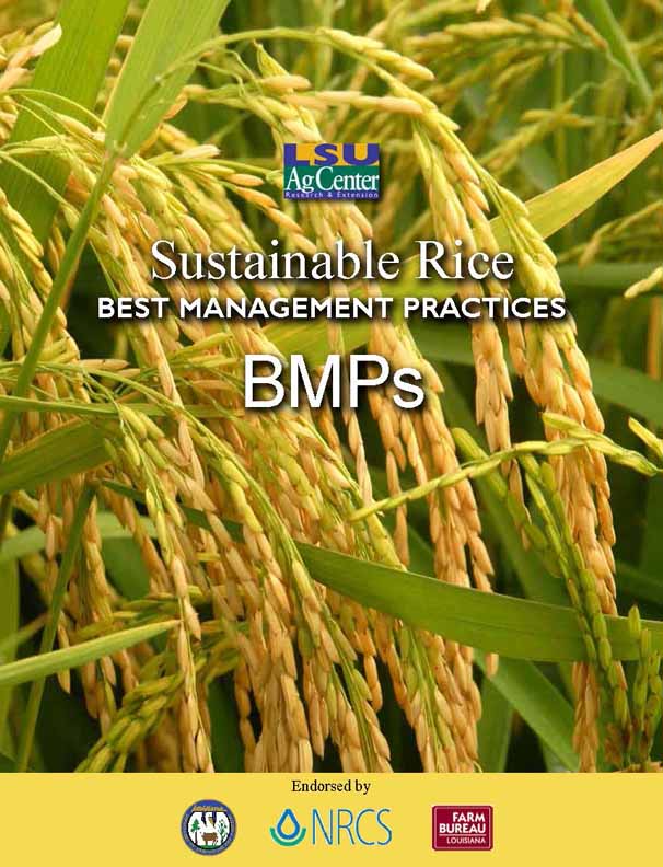 Rice Production Best Management Practices