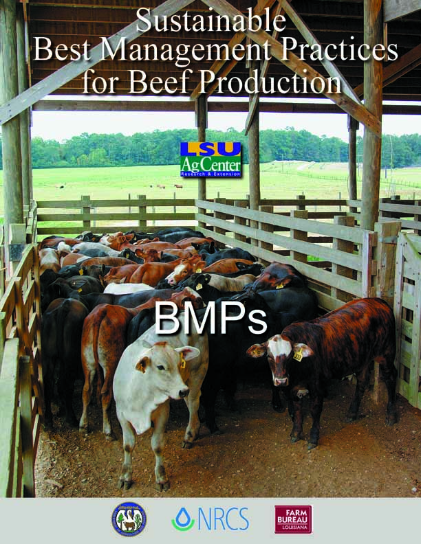 Beef Cattle Production Best Management Practices