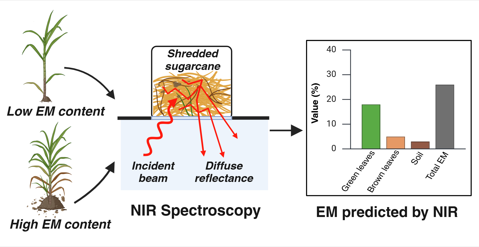 Novel ASI Research Shows Extraneous Matter in Sugarcane Can Be Measured by NIR 