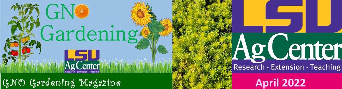 GNO Gardening - April 2022