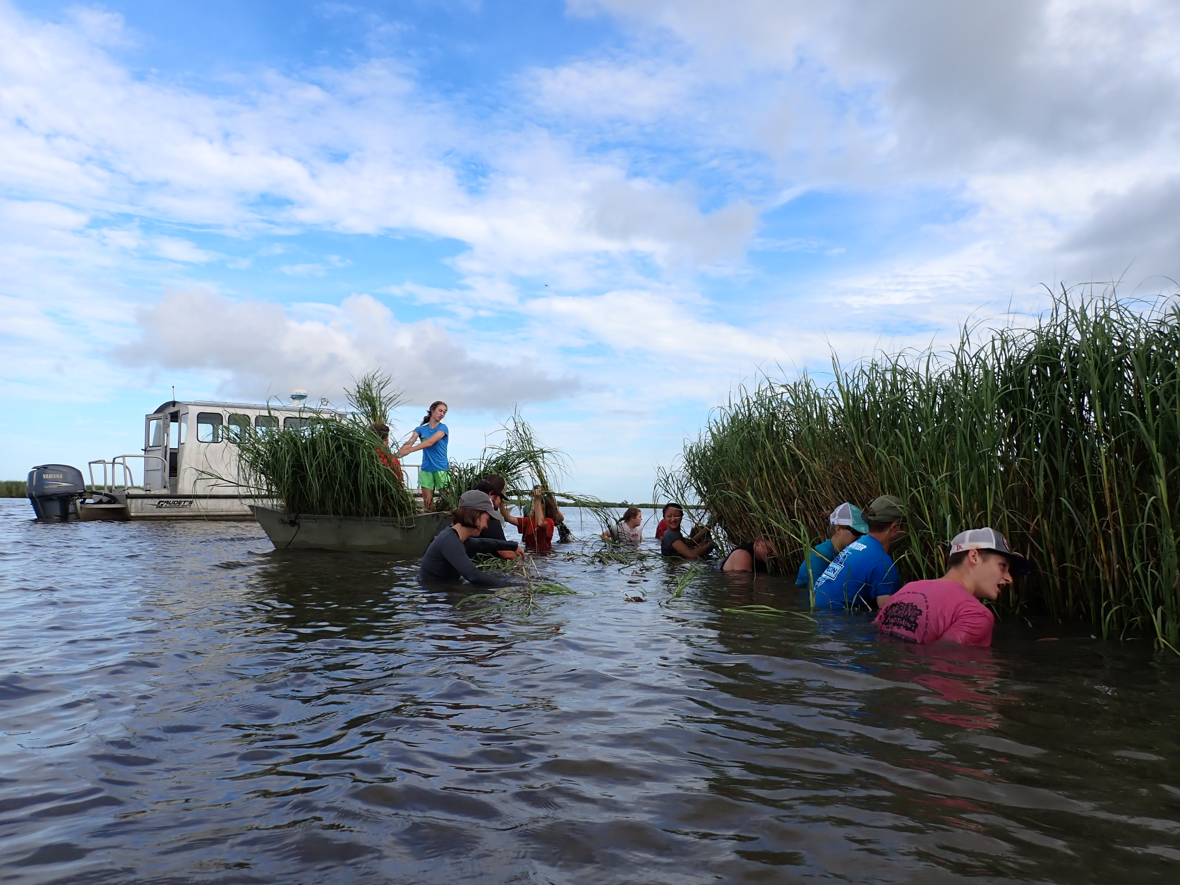 For Nearly Four Decades, Marsh Maneuvers Has Taught Youths to Love the Coast