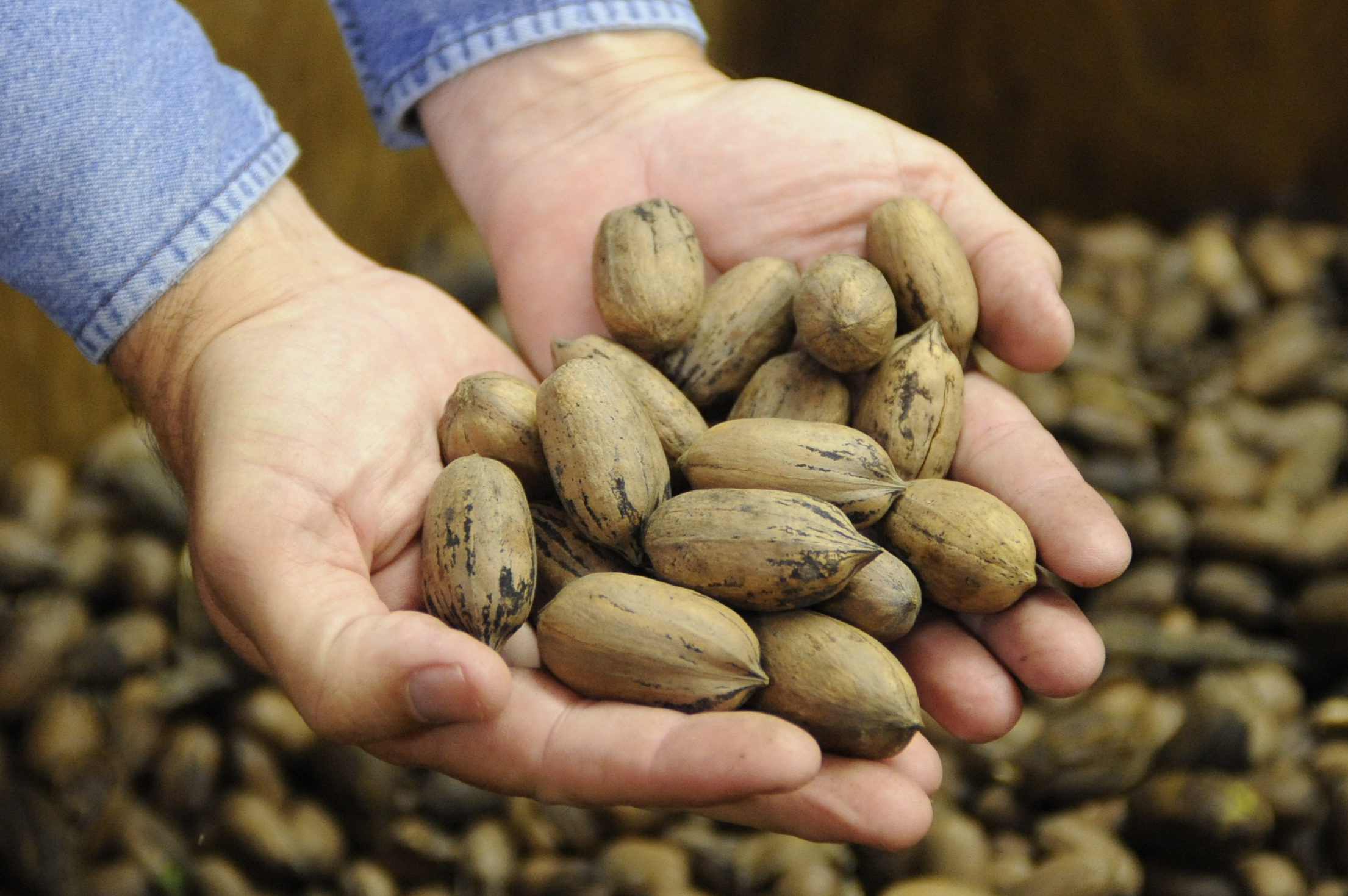 Evaluation of Antimicrobials in Pecan Shell Byproducts 