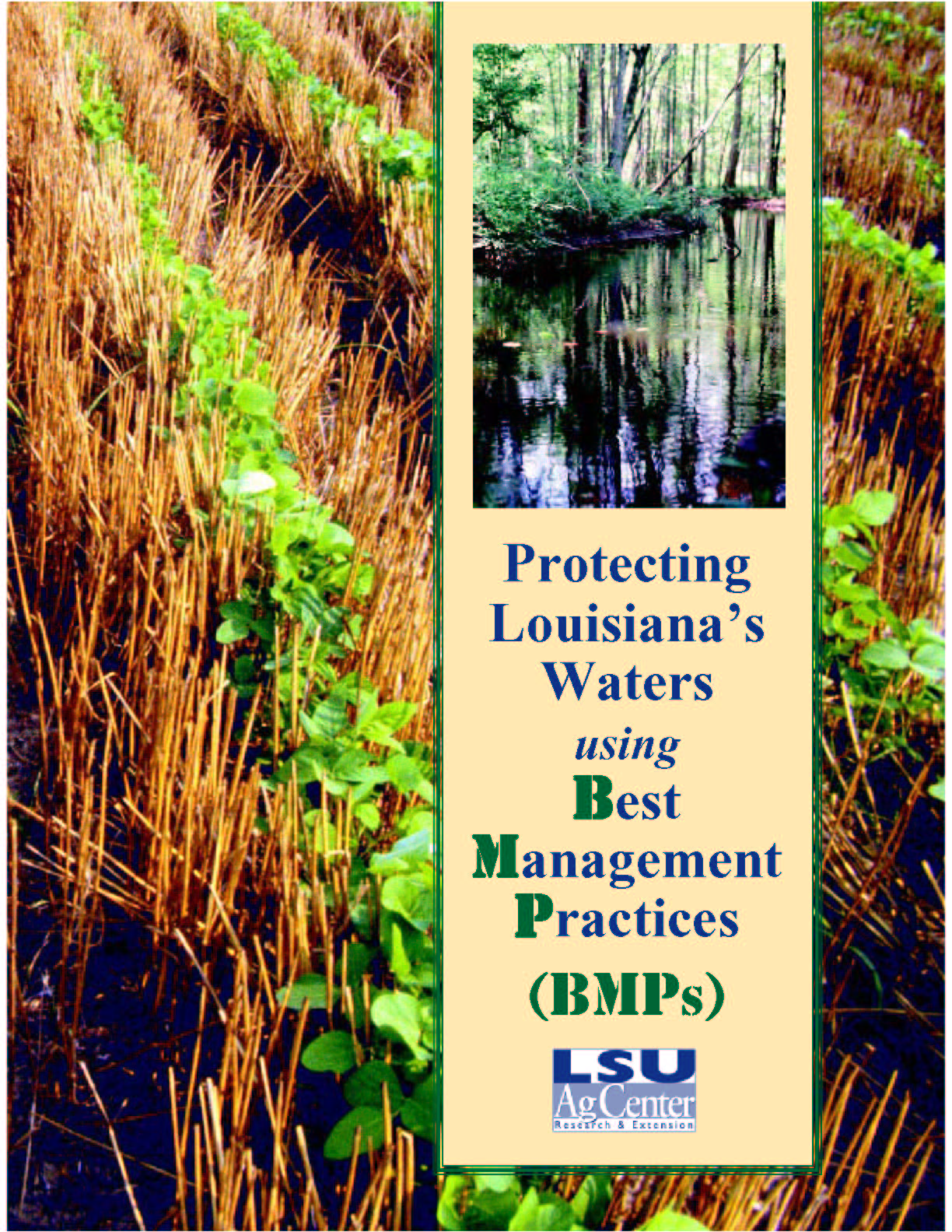 Protecting Louisianas Waters Using Best Management Practices