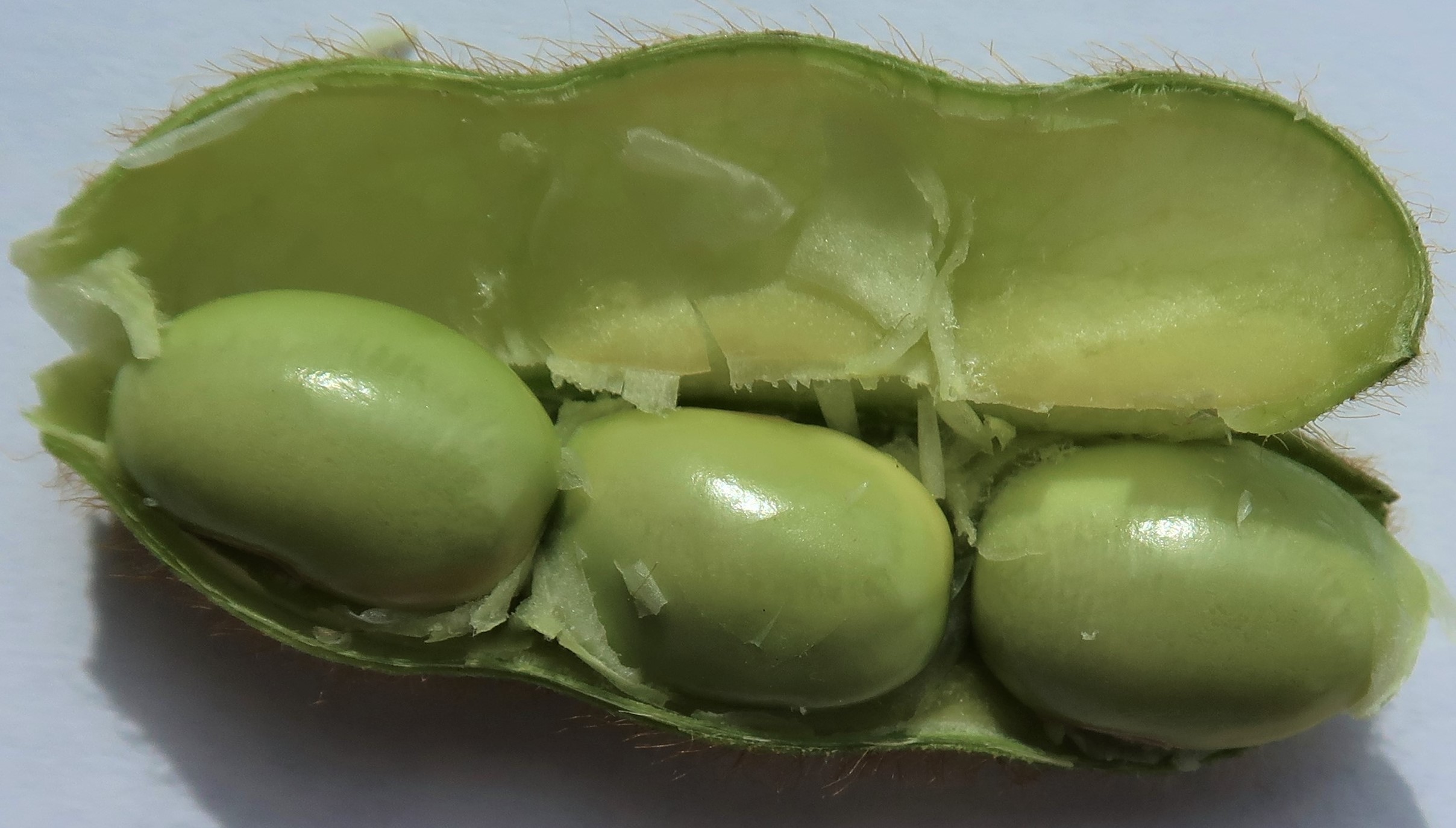 LA Soybean Crop Progress and Condition Week of July 6, 2020