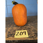 209.jpg thumbnail