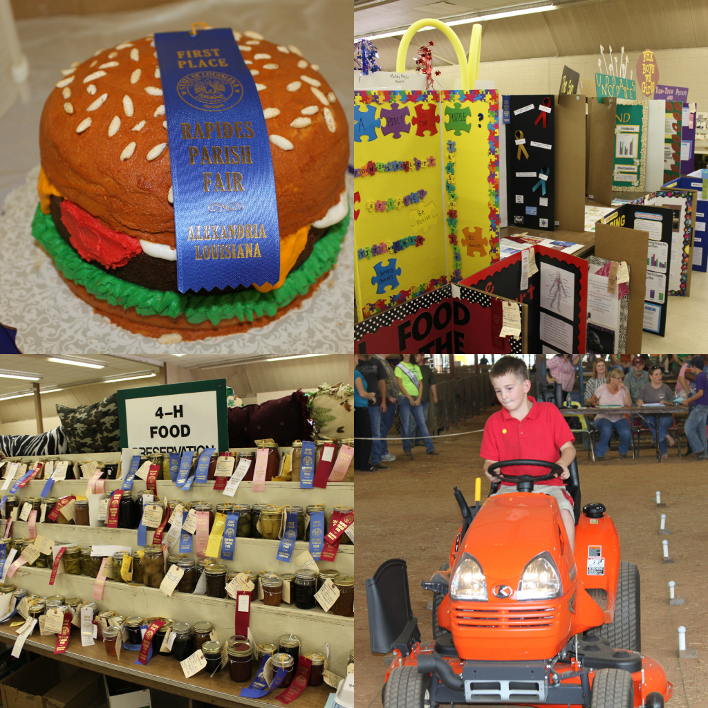 2012 4-H Arts and Crafts Division