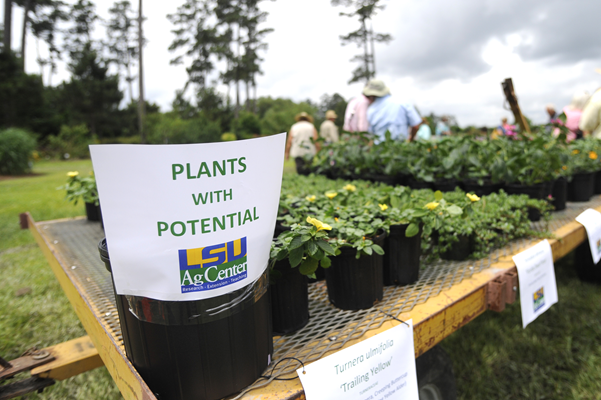 Horticulture industry open house and lecture set for May 12 in Hammond