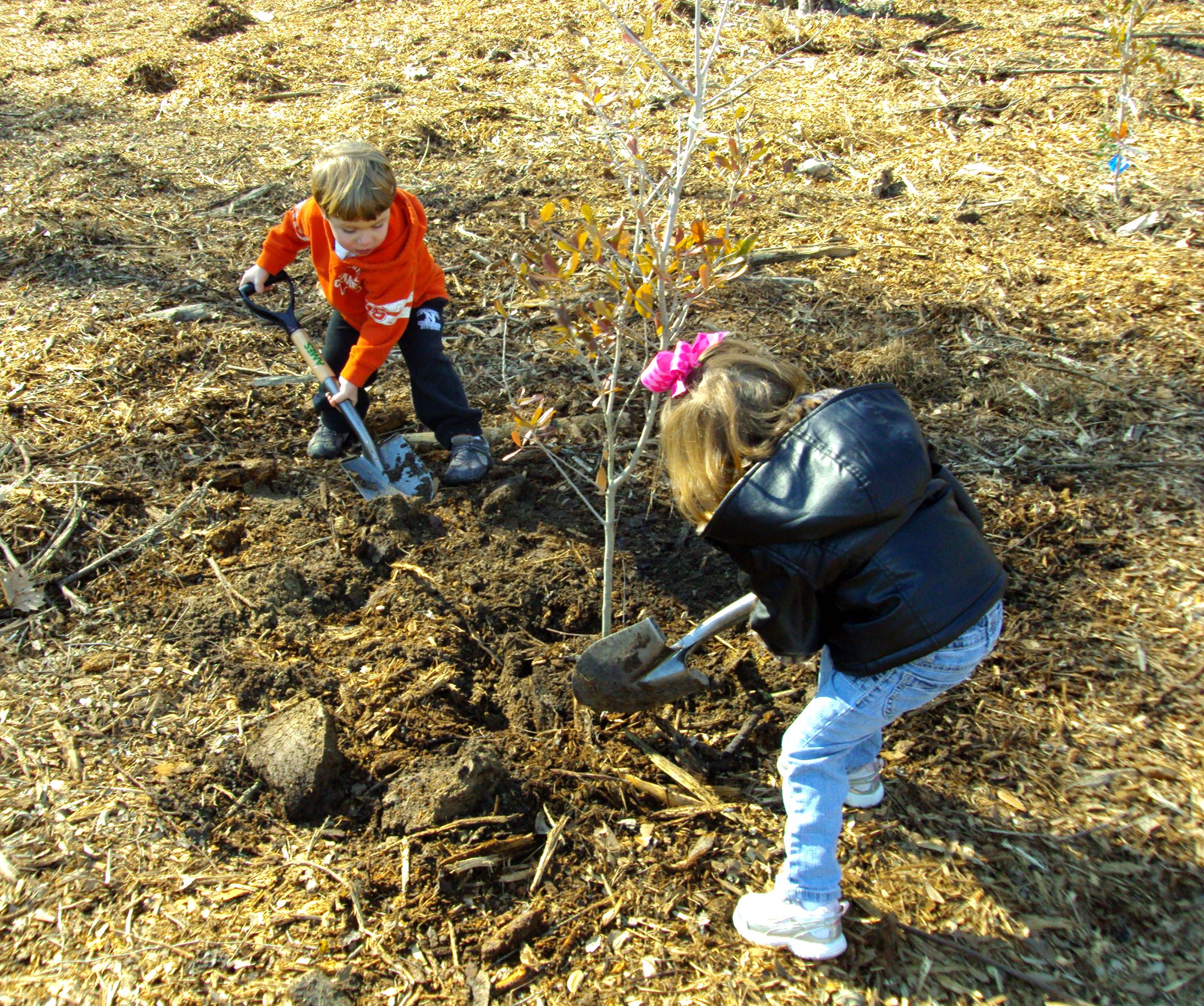 Arbor Day Celebration at Burden Center
