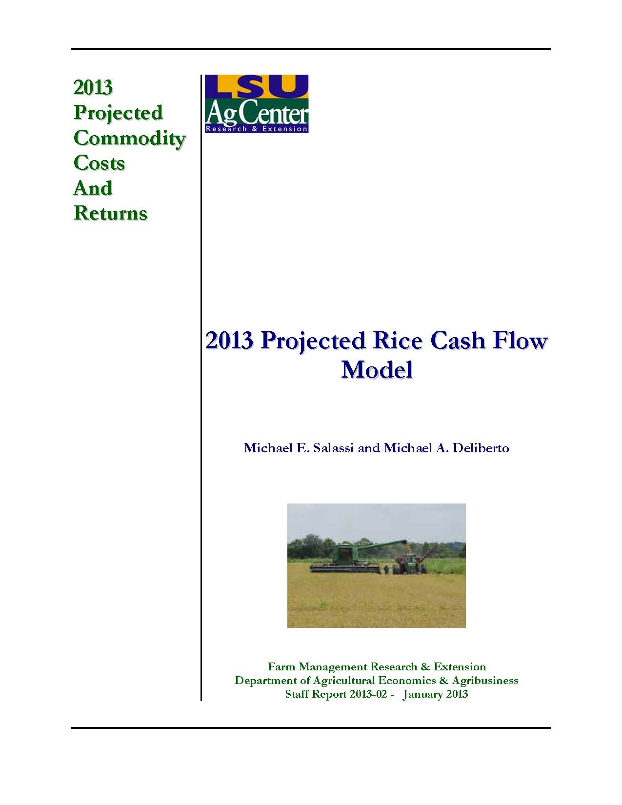 2013 Projected Rice Cash Flow Model