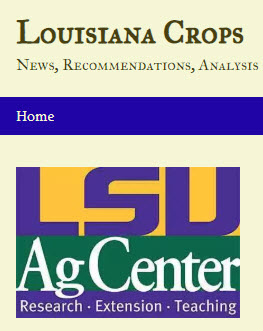 Louisiana-Crops-imagejpg