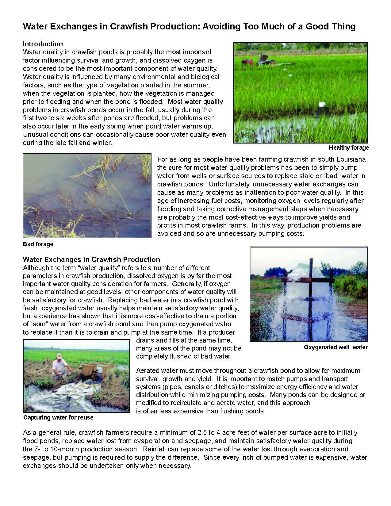 Water Exchanges in Crawfish Production: Avoiding Too Much of a Good Thing