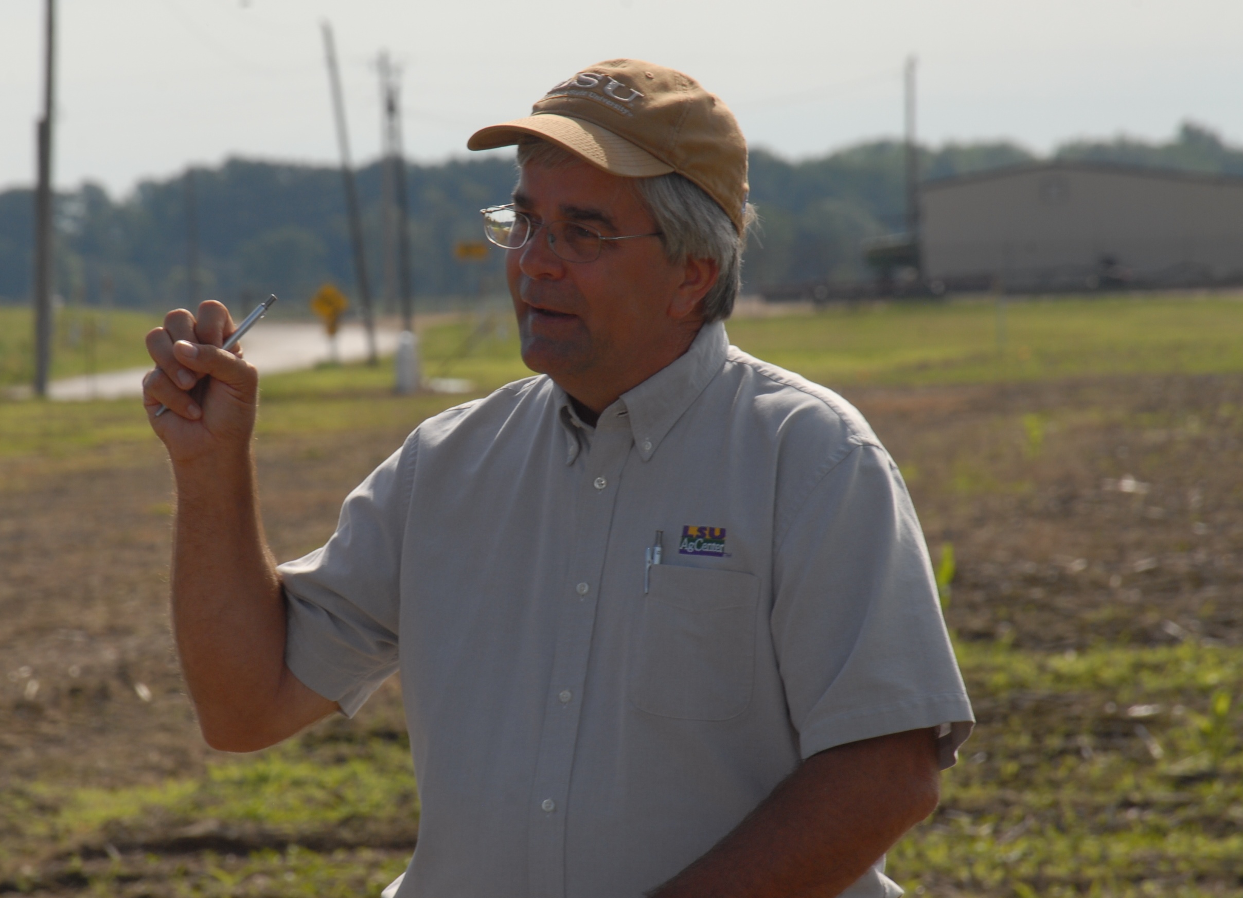 LSU AgCenter small grains breeding faces weather challenges