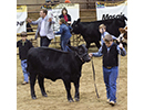 agcenternewsjpg