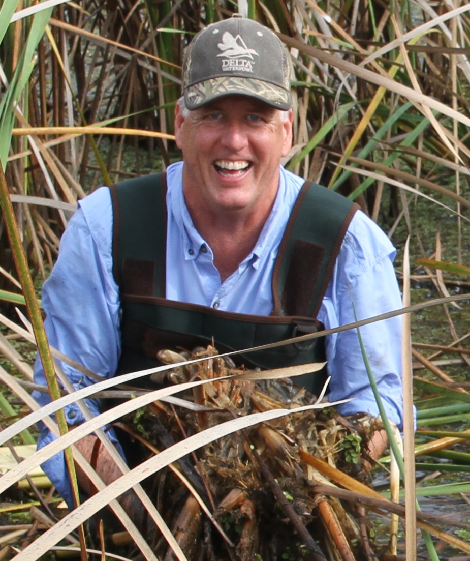 LSU AgCenter has a storied history in wetlands management
