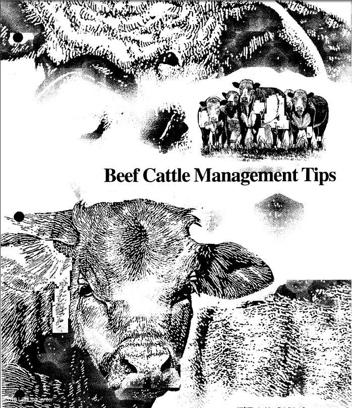 Beef Premier Exhibitor Resource