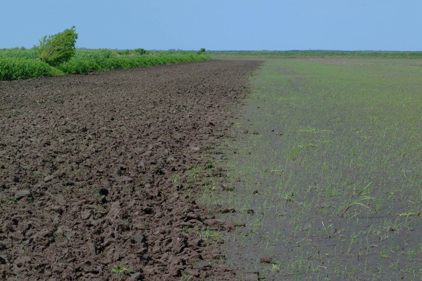 Rice: Running Late, Despite All The Warm Weather