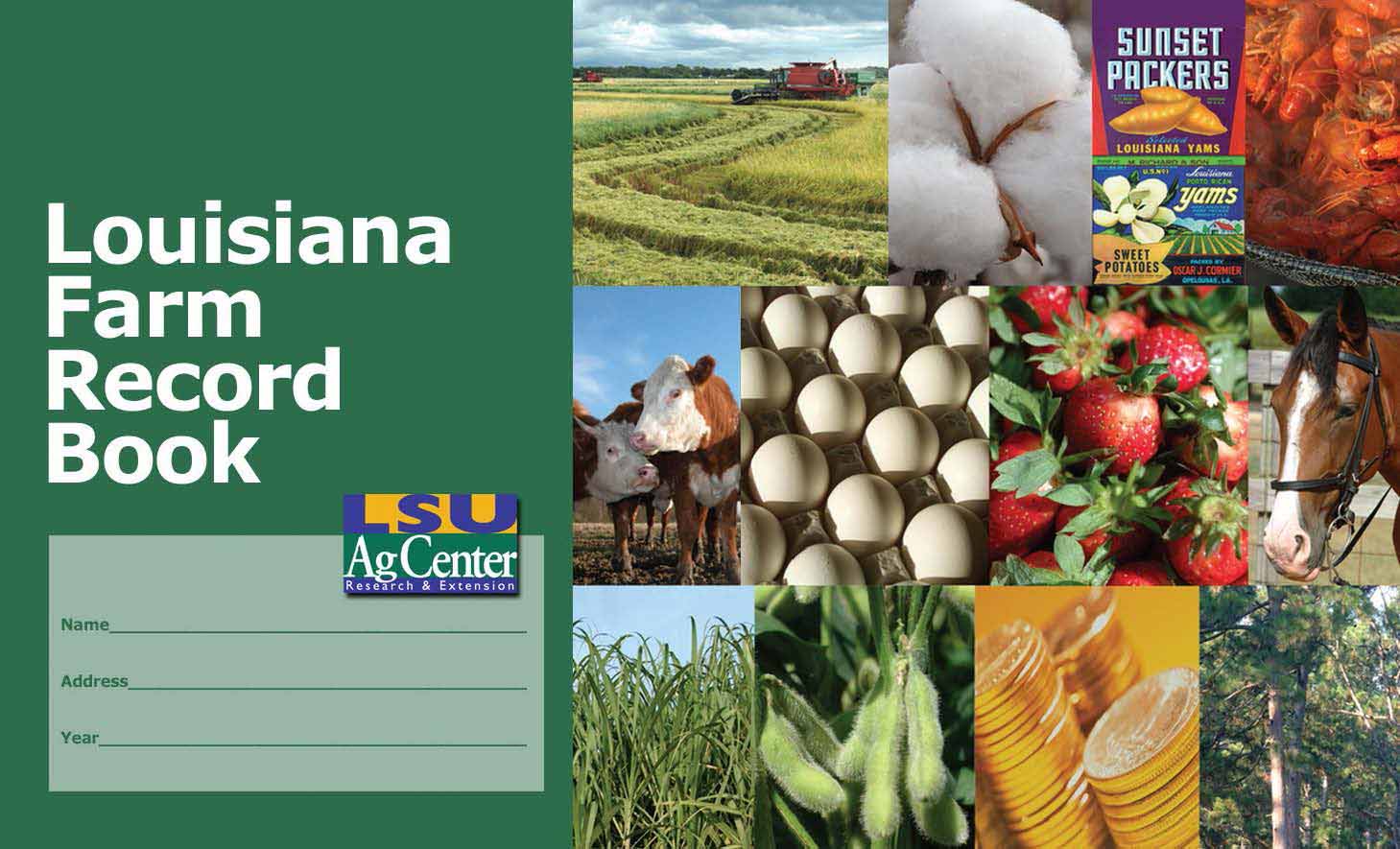 Louisiana Farm Record Book