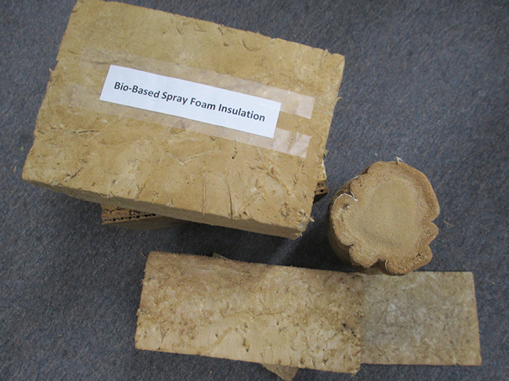 Examples of wood-based foam samples produced