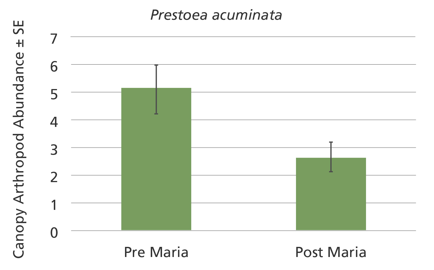 Chart shows more insects pre-hurricane.