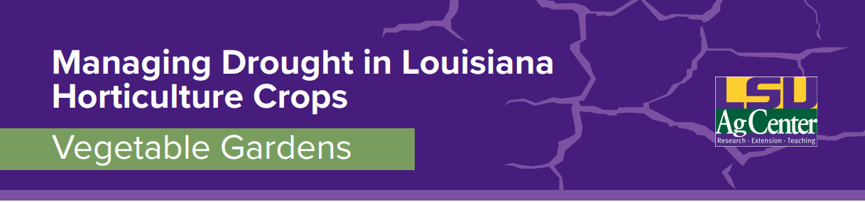 Decorative Banner: Managing Drought in Louisiana Horticulture Crops Vegetable Gardens 