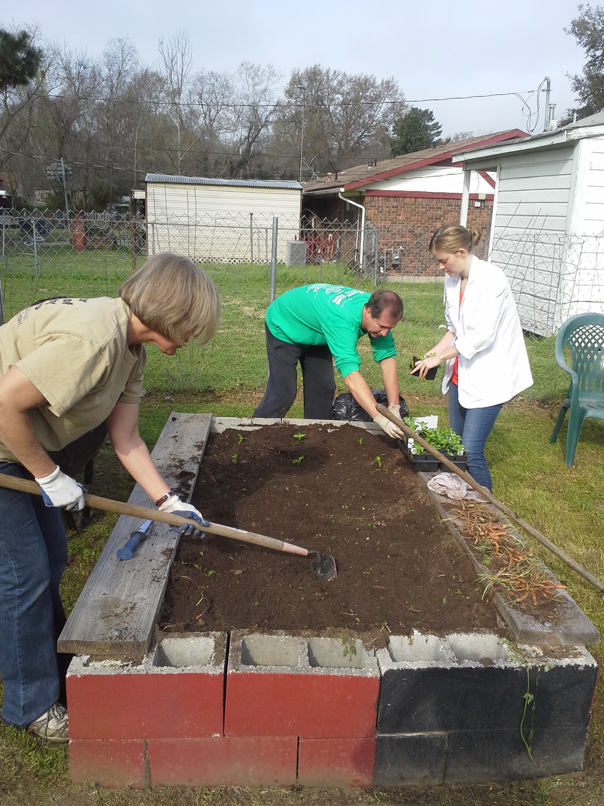 Community gardens bring nutritious food options to urban areas