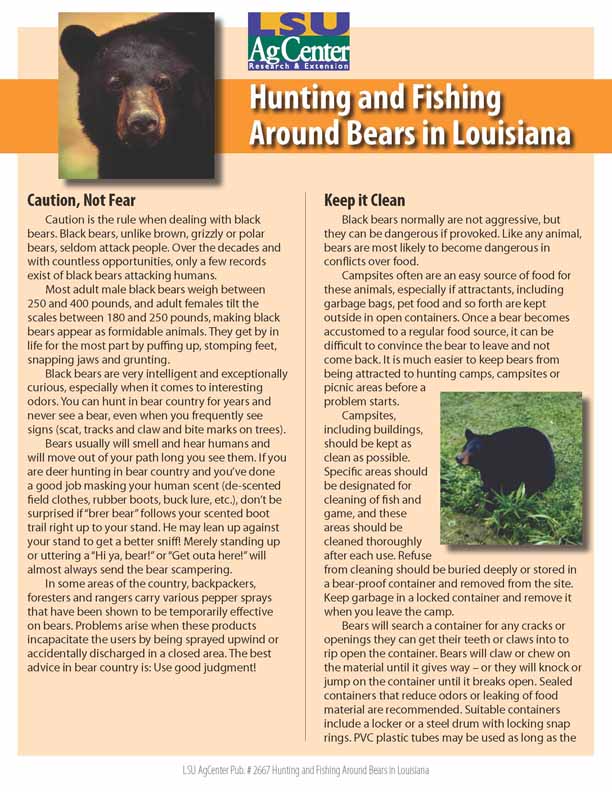 Hunting and Fishing Around Bears in Louisiana