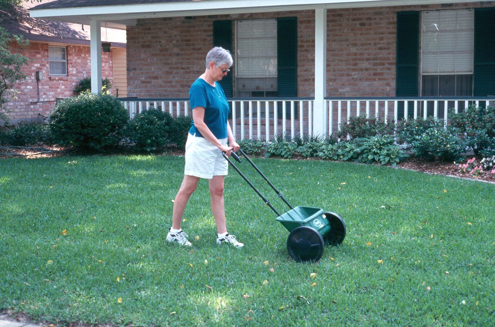 Home Lawn Chemical Weed Control Guide