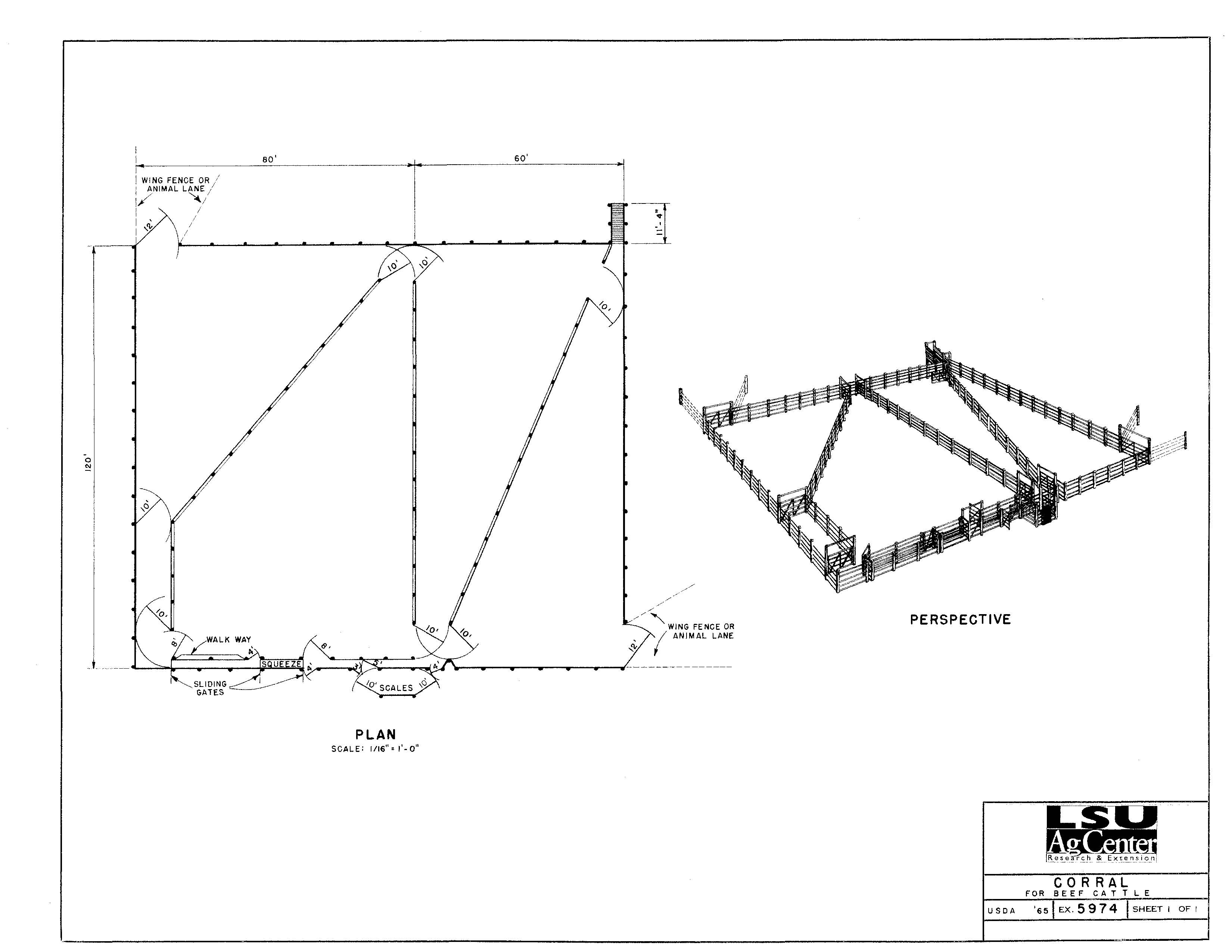 Corral for Beef Cattle