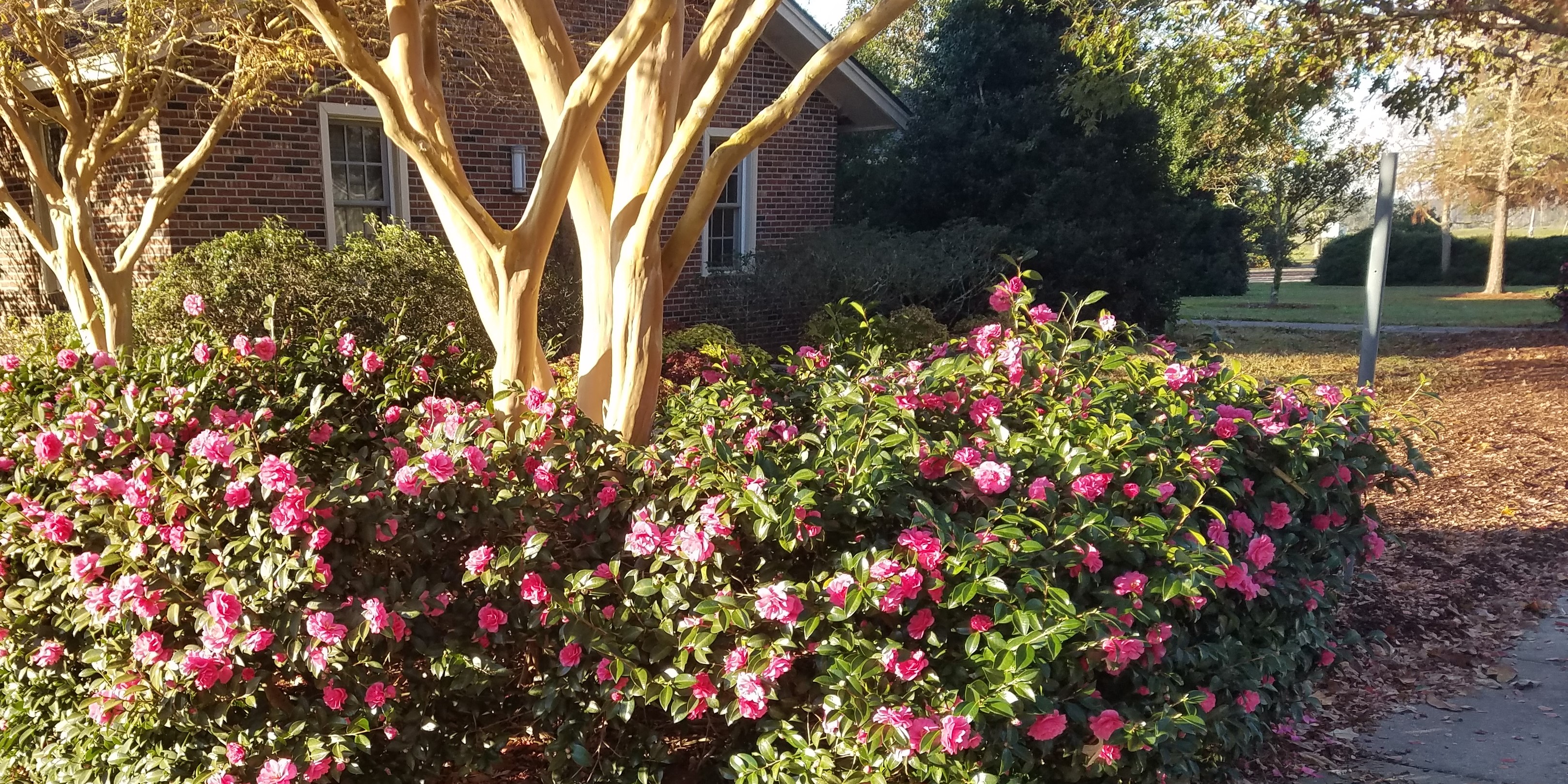 Some Licenses and Certifications Related to Landscape Horticulture Work