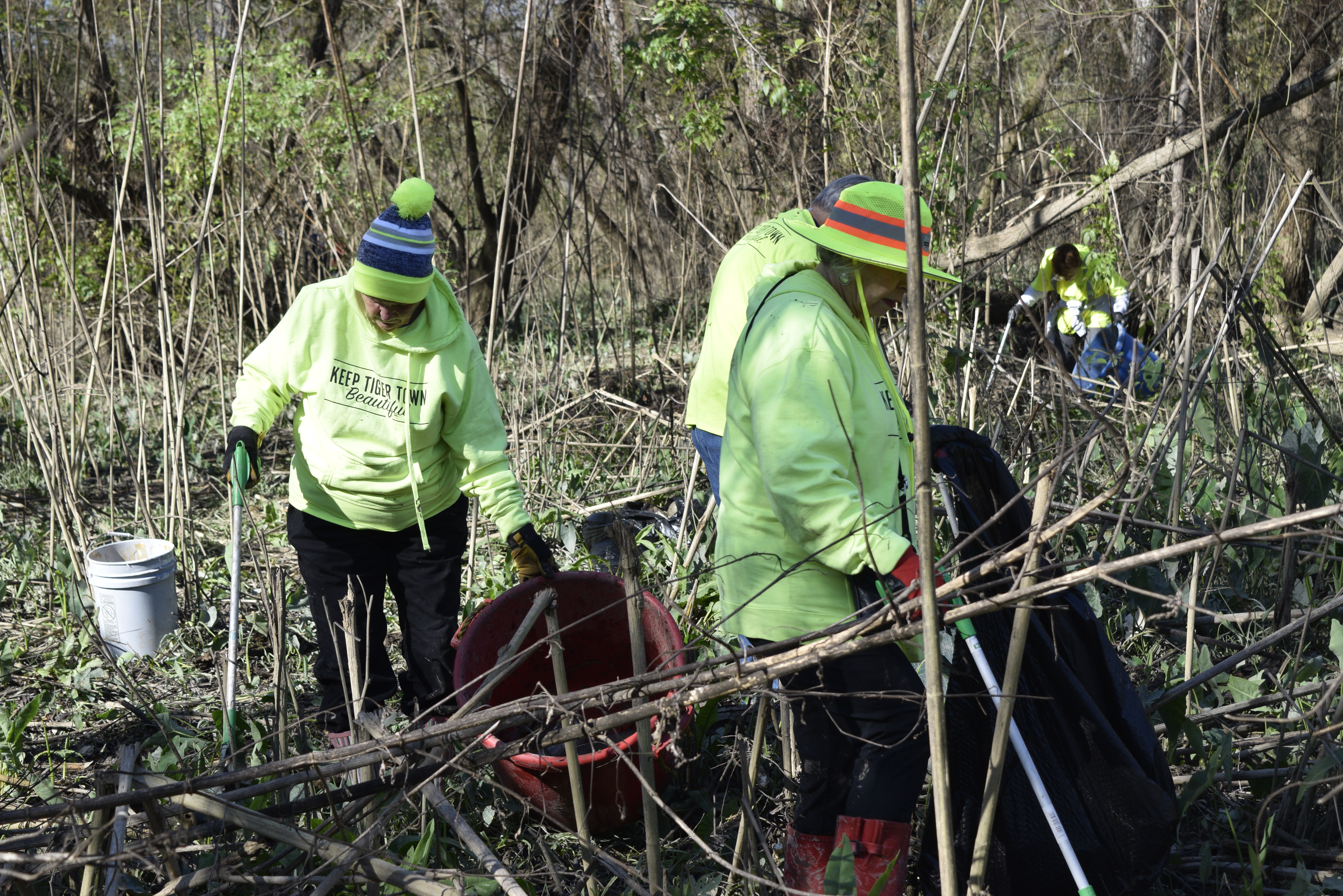 Ten acres of litter removed from Burden wetland 
